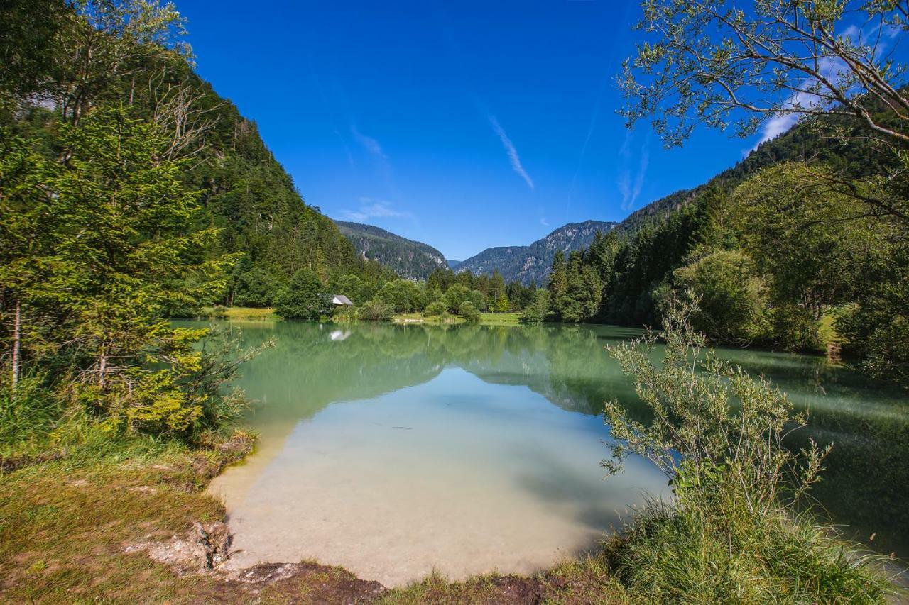 Villa Pocitniska Hisa Radovna Zgornja Radovna Esterno foto