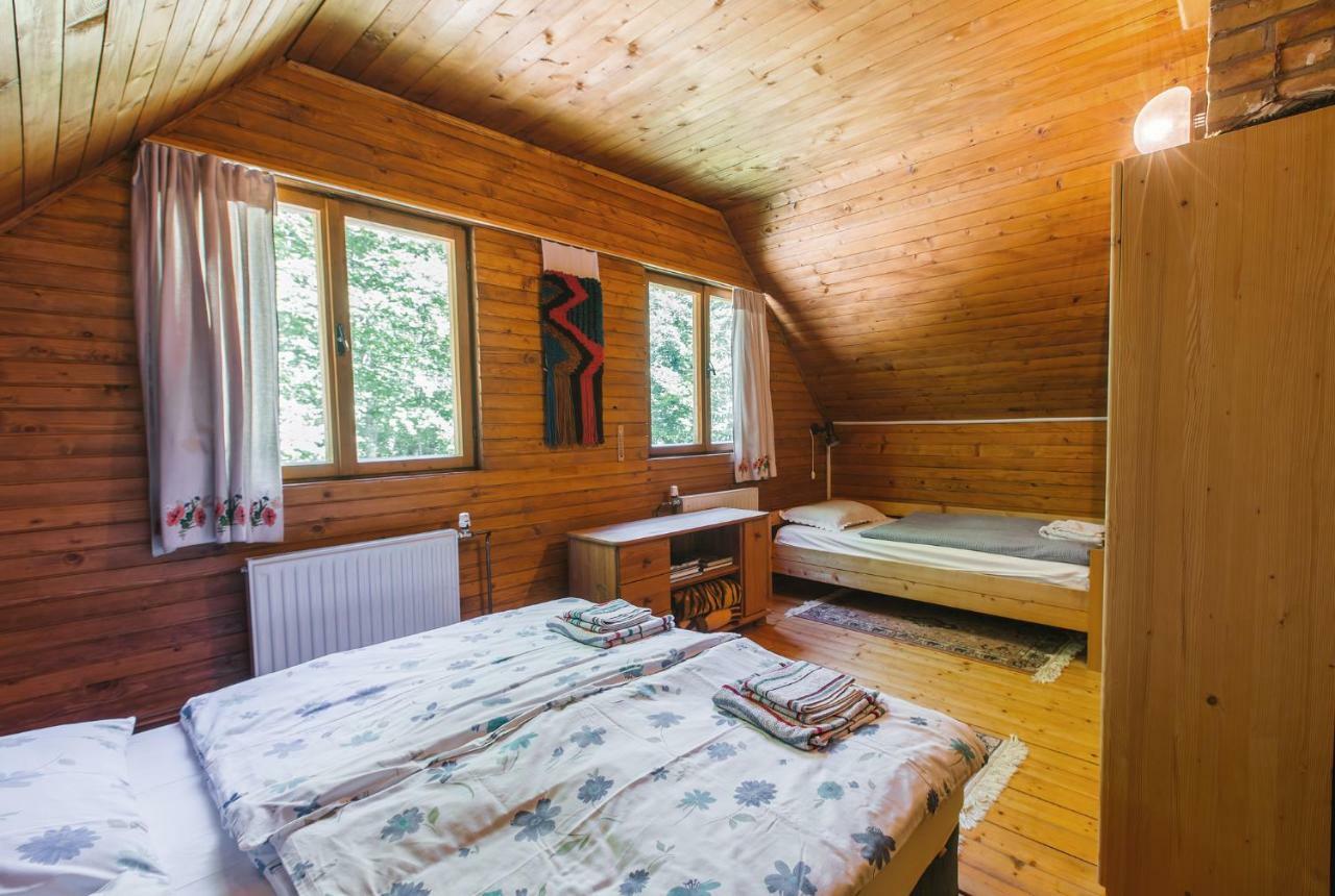 Villa Pocitniska Hisa Radovna Zgornja Radovna Esterno foto
