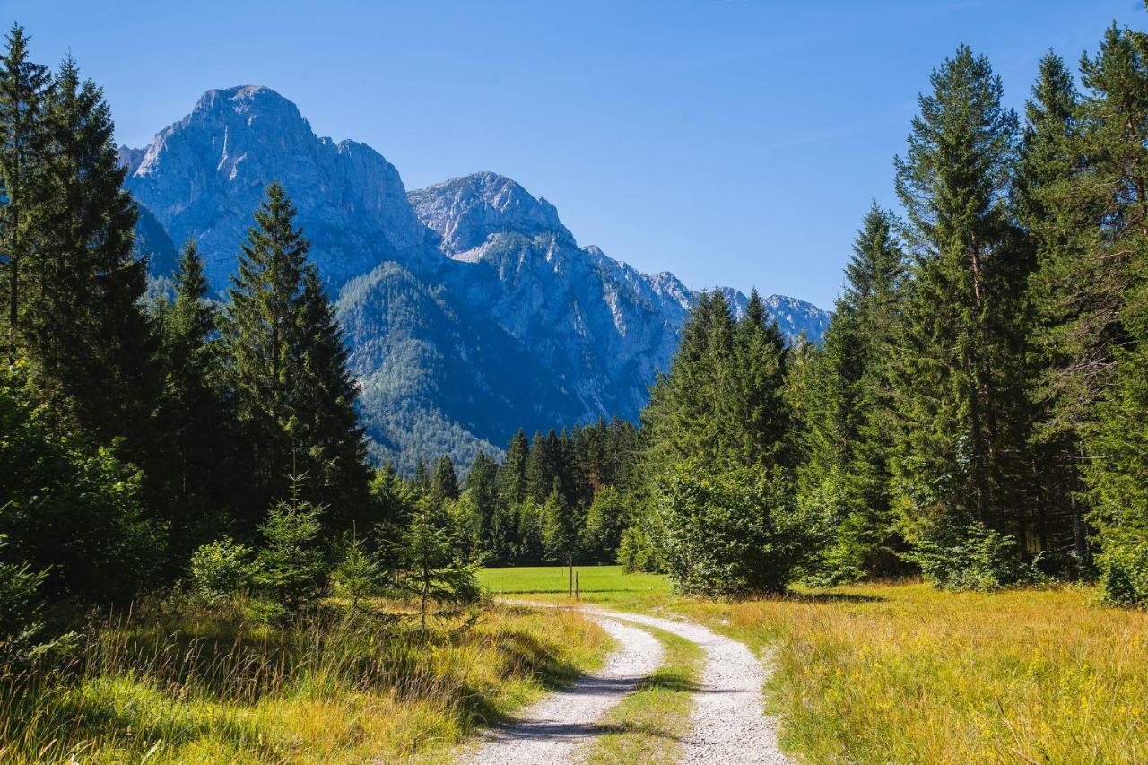 Villa Pocitniska Hisa Radovna Zgornja Radovna Esterno foto